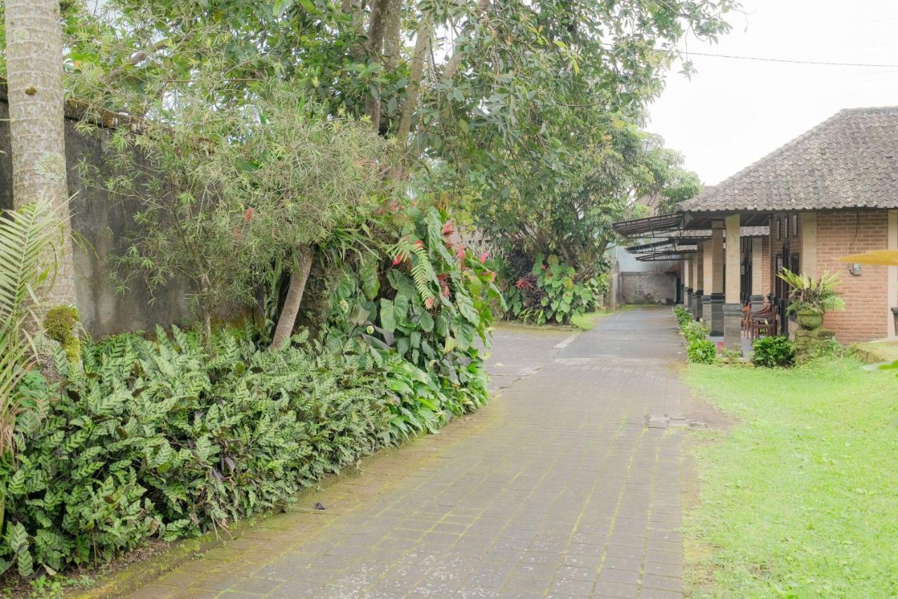 Pelangi Homestay Bedugul Redpartner Esterno foto